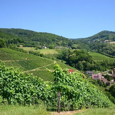 酒店 Am Weinberg / Travellers Hotelbetriebs Gmbh *