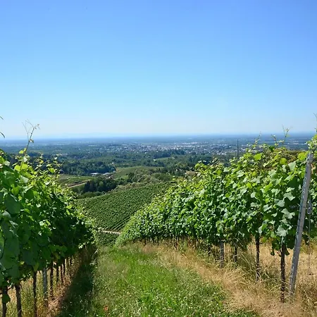 Hotel Am Weinberg / Travellers Hotelbetriebs Gmbh