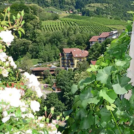 Am Weinberg / Travellers Hotelbetriebs Gmbh Ξενοδοχείο Sasbachwalden