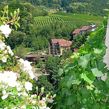Am Weinberg / Travellers Hotelbetriebs Gmbh Sasbachwalden