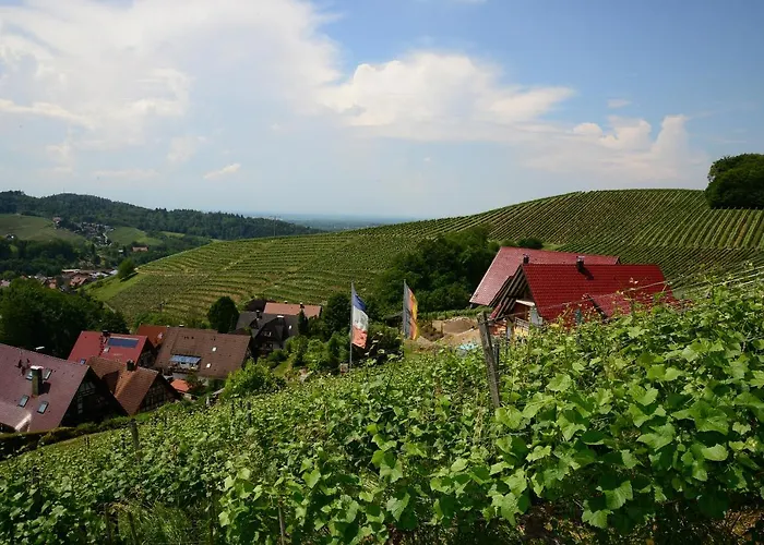 Am Weinberg / Travellers Hotelbetriebs Gmbh Sasbachwalden